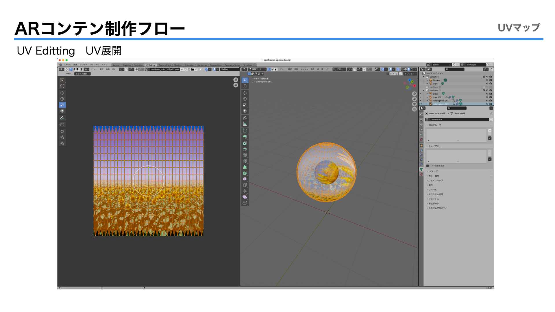images/09.sunflow_sphere