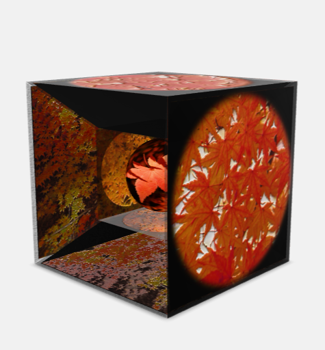 cube_autumn_leaves2025_002an