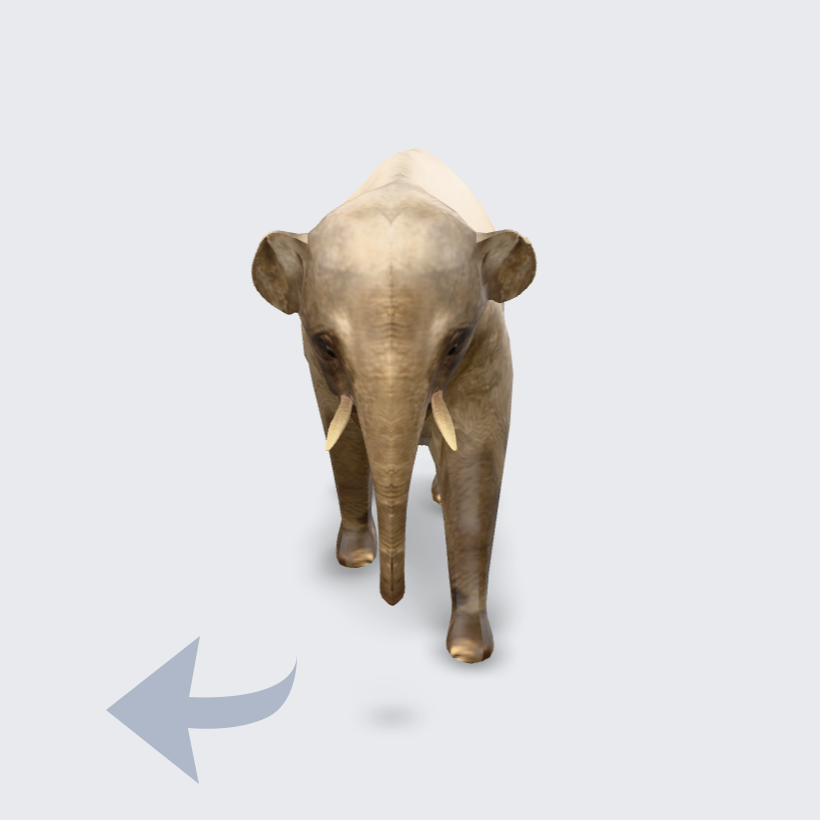 elephnt_asia_walking03_round001_image