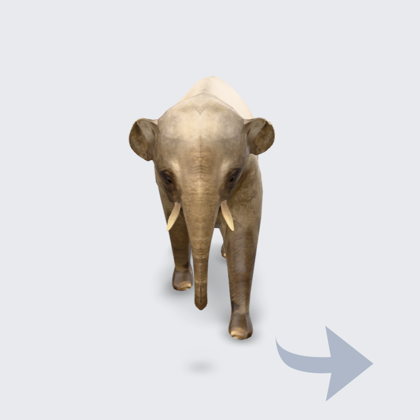ar-elephant-asia03walking_around