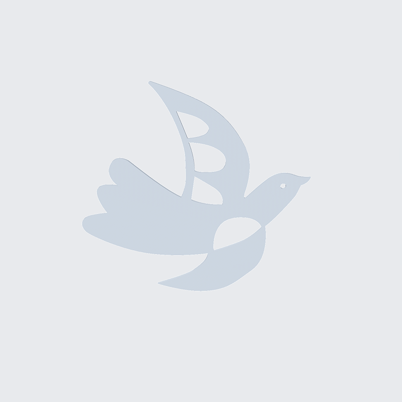 fufufu_bird_image