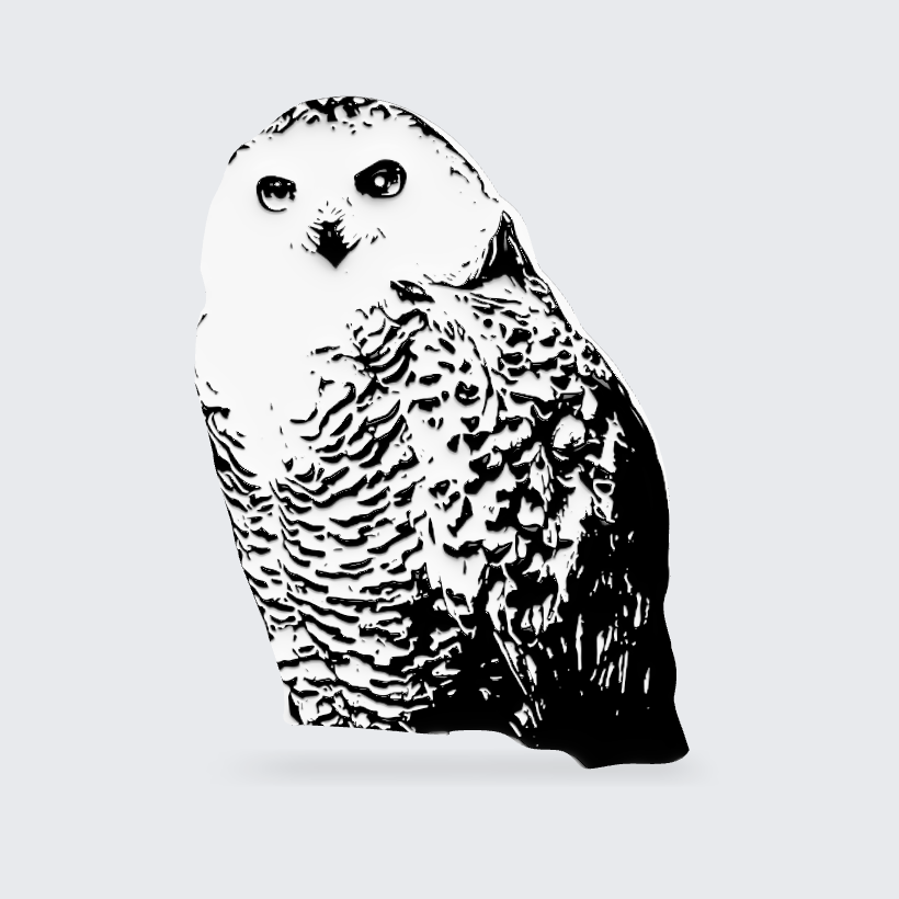 ar-owl01_image