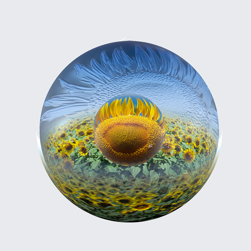 sunflower_sphere